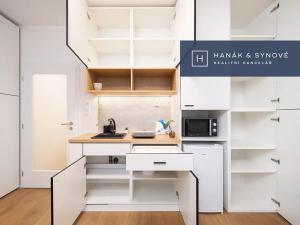 Pronájem bytu 1+kk, Brno, Cejl, 31 m2