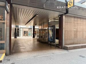 Pronájem bytu 1+kk, Praha - Karlín, Thámova, 24 m2