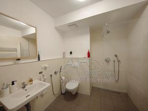 Pronájem bytu 2+kk, České Budějovice, 47 m2