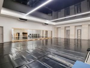 Pronájem komerční nemovitosti, Brno, Sukova, 233 m2