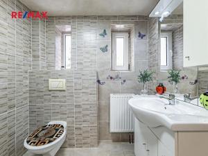 Prodej činžovního domu, České Velenice, Komenského, 247 m2