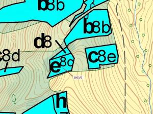 Dražba lesa, Zděchov, 1036 m2