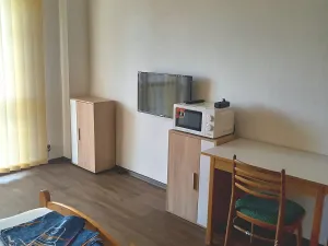 Pronájem pokoje, Jirny, 29 m2