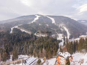 Prodej bytu 1+kk, Špindlerův Mlýn, 37 m2