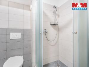 Pronájem bytu 2+1, Hrádek nad Nisou, Liberecká, 61 m2