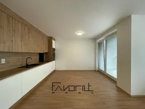 Pronájem bytu 1+kk, Ostrava, Hasičská, 35 m2