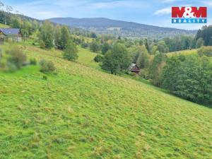 Prodej louky, Rokytnice nad Jizerou - Františkov, 4678 m2