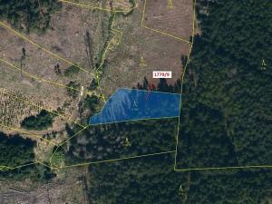 Dražba lesa, Žirovnice, 1388 m2