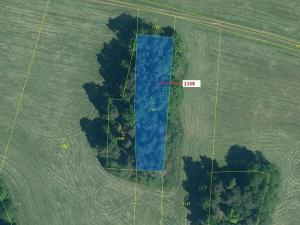 Dražba lesa, Hradiště, 1323 m2