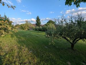 Prodej rodinného domu, Boháňka, 130 m2