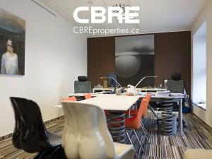 Pronájem kanceláře, Praha - Nové Město, Václavské náměstí, 320 m2