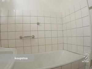 Prodej bytu 2+1, České Budějovice, Žižkova tř., 69 m2