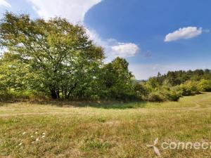 Prodej louky, Samopše, 14836 m2