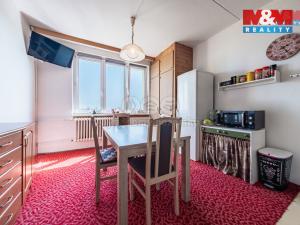 Pronájem bytu 1+1, Žatec, Mládežnická, 39 m2