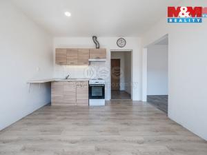 Pronájem bytu 1+1, Žatec, Černobýla, 35 m2