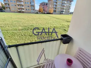 Pronájem bytu 1+1, Prostějov, Krasická, 38 m2