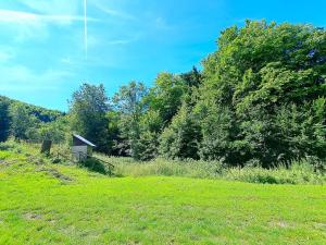 Prodej zemědělské usedlosti, Bratřejov, 200 m2