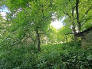 Prodej zemědělské usedlosti, Bratřejov, 200 m2