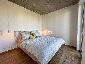 Pronájem bytu 3+kk, Olomouc - Nová Ulice, Milana Ticháka, 110 m2