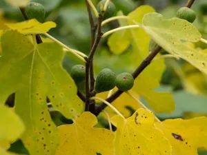 Prodej rodinného domu, Psáry, V Domkách, 114 m2