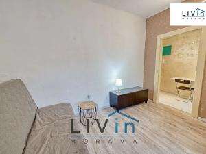 Pronájem bytu 1+1, Olomouc, Starodružiníků, 28 m2