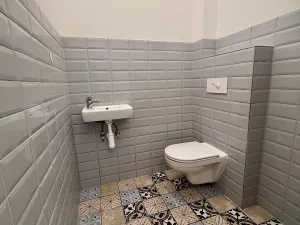 Pronájem ubytování, Brno, Štefánikova, 300 m2