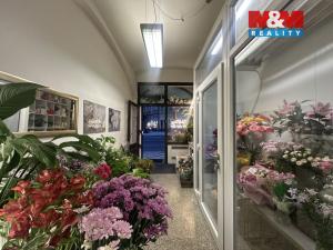 Pronájem obchodního prostoru, Praha - Vinohrady, Francouzská, 24 m2