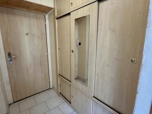 Prodej bytu 1+1, Ostrava - Zábřeh, Čujkovova, 29 m2