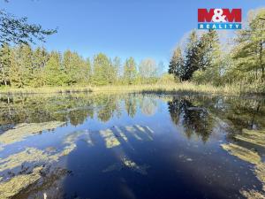 Prodej rybníku, Rychnov nad Kněžnou - Lipovka, 5965 m2