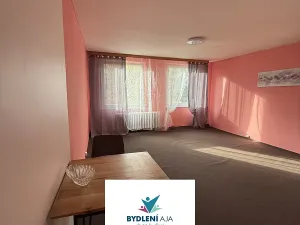 Pronájem bytu 1+kk, Teplice, Přítkovská, 32 m2