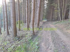 Prodej lesa, Zlín, 152613 m2