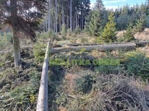 Prodej lesa, Zlín, 152613 m2