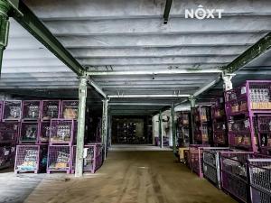 Pronájem skladu, Dětřichov, 6890 m2