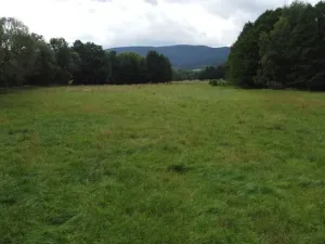 Dražba louky, Dešenice, 67850 m2