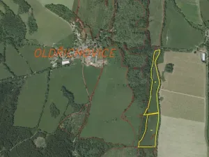 Dražba louky, Dešenice, 67850 m2