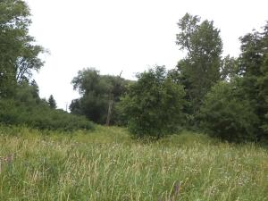 Dražba pole, Záluží, 8654 m2