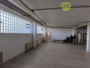 Pronájem skladu, Ostrava, Novoveská, 222 m2