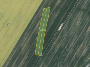 Prodej pole, Vyklantice, 7316 m2