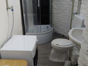 Pronájem bytu 1+kk, Holovousy, 20 m2