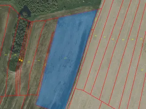 Prodej pole, Radošovice, 6988 m2