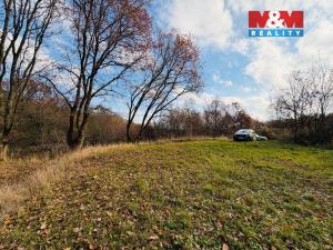 Prodej pole, Šumperk, 5000 m2