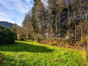 Prodej bytu 1+kk, Tanvald, Údolí Kamenice, 93 m2