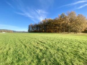 Prodej louky, Mníšek, 33698 m2