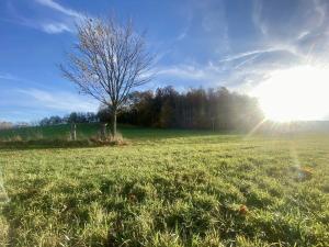 Prodej louky, Mníšek, 33698 m2