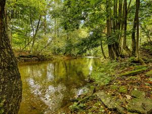 Prodej rodinného domu, Žamberk, U Líšnice, 170 m2