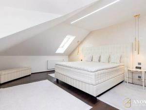 Prodej rodinného domu, Moravany, Pod Remízkem, 322 m2