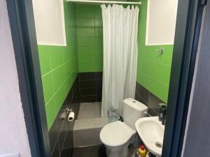 Pronájem - jiné, Cheb, Kamenická, 200 m2