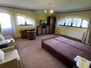 Pronájem kanceláře, Kynšperk nad Ohří, 600 m2