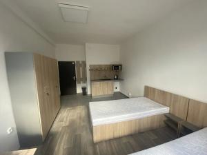 Pronájem ubytování, Dalovice, Botanická, 20 m2