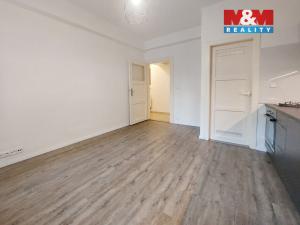 Pronájem bytu 2+kk, Praha - Žižkov, Biskupcova, 44 m2